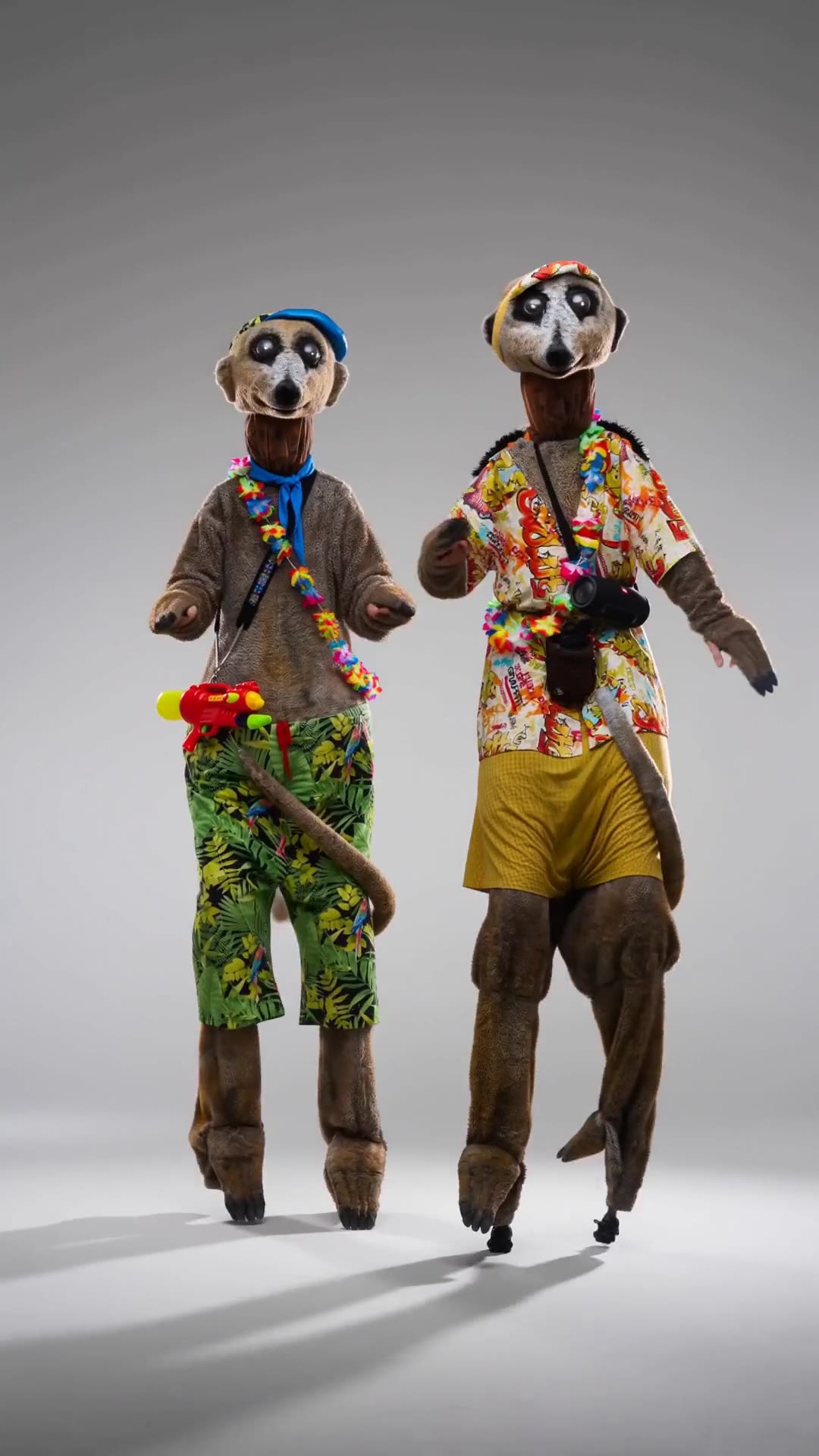 Die Party Boys – Erdmännchen-Stelzenfiguren tanzen im Studio